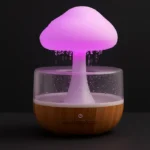 Cloud Rain Humidifier